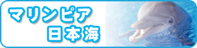 �V���s�����ف@�}�����s�A���{�C